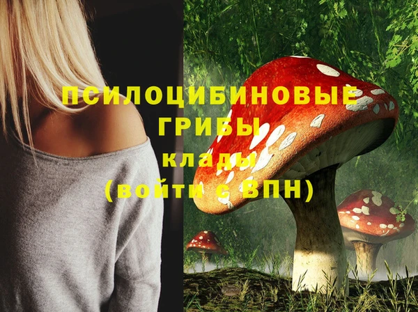 ГАЛЛЮЦИНОГЕННЫЕ ГРИБЫ Богородицк