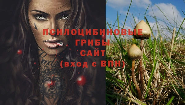 MDMA Богданович