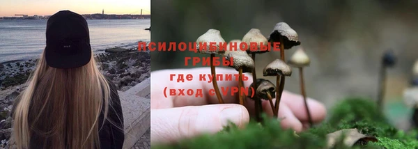 ГАЛЛЮЦИНОГЕННЫЕ ГРИБЫ Богородицк