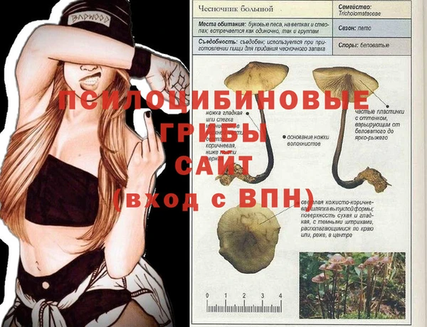 ГАЛЛЮЦИНОГЕННЫЕ ГРИБЫ Богородицк