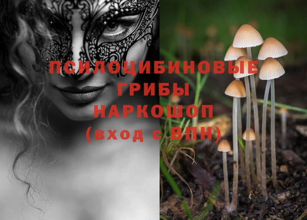 ешки Богородск