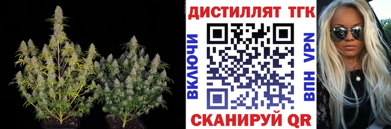 где купить   Голицыно  Дистиллят ТГК гашишное масло 