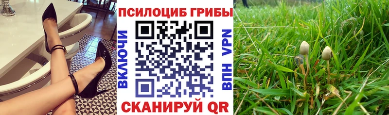 Галлюциногенные грибы Psilocybe  наркошоп  Голицыно 
